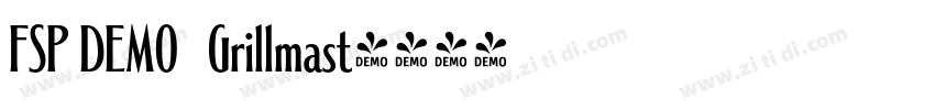 FSP DEMO   Grillmast字体转换
